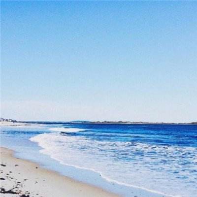 手机买彩票app下载app下载